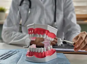 Dental equipment holding an extracted tooth